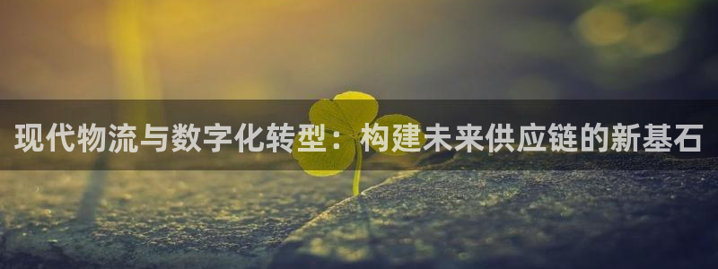 豪门国际如何退款：现代物流与数字化转