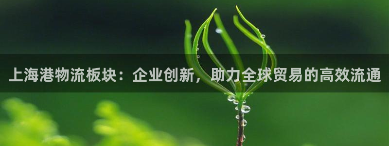 豪门国际注册地址：上海港物流板块：企