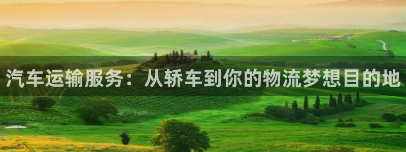 豪门国际加拿大技巧