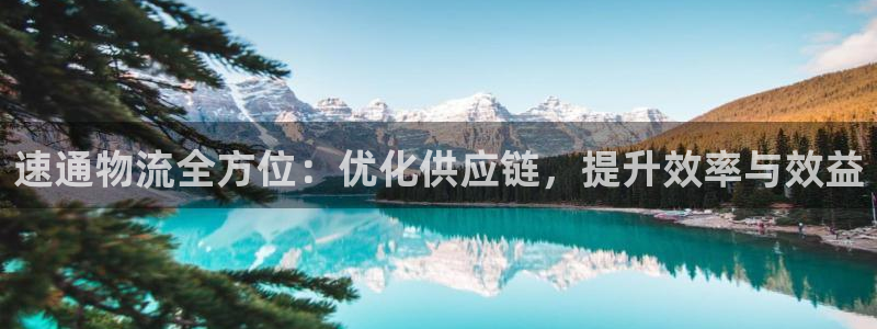 豪门国际注册流程：速通物流全方位：优