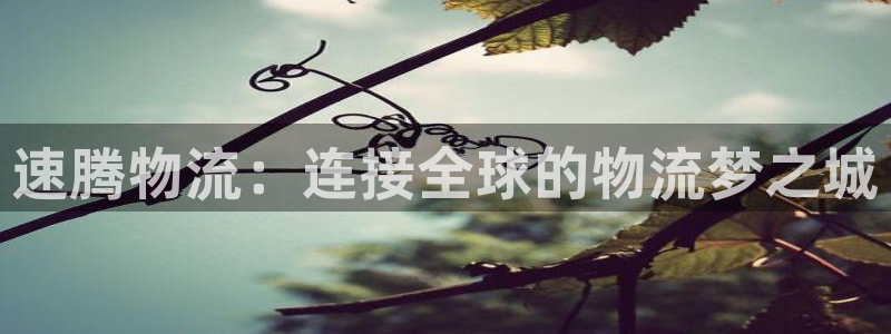 豪门国际注册与教程:速腾物流:连接全