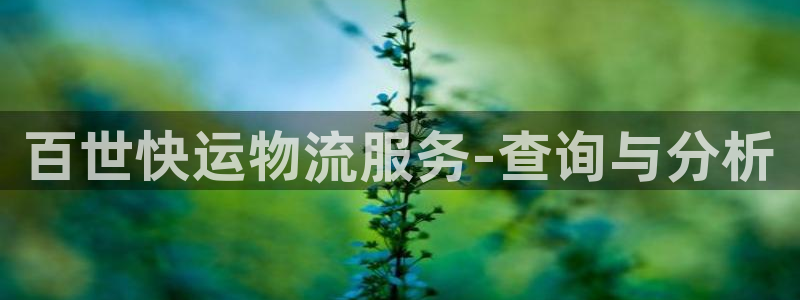 豪门国际如何看计划
