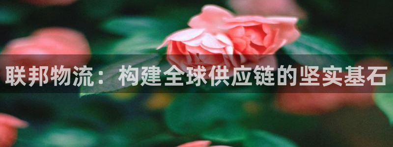 豪门国际充值不到账怎么回事