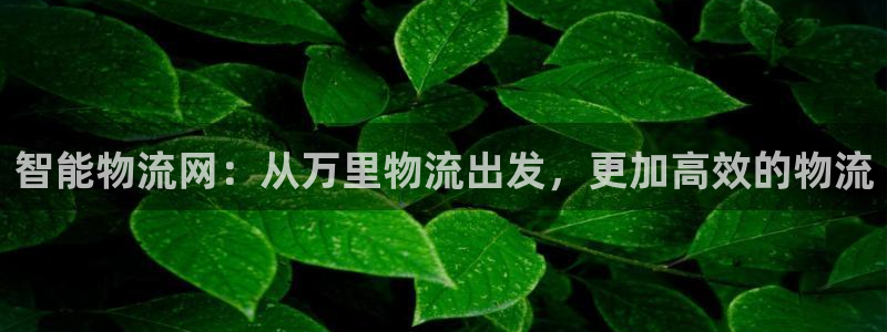 豪门国际充值不处理怎么办：智能物流网