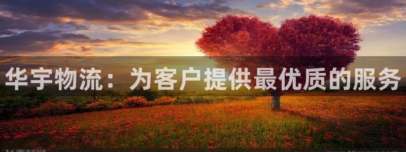 豪门国际是什么软件：华宇物流：为客户