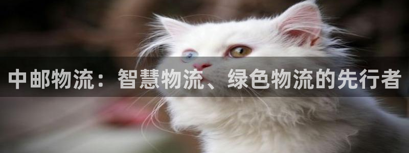 豪门国际注册网址：中邮物流：智慧物流