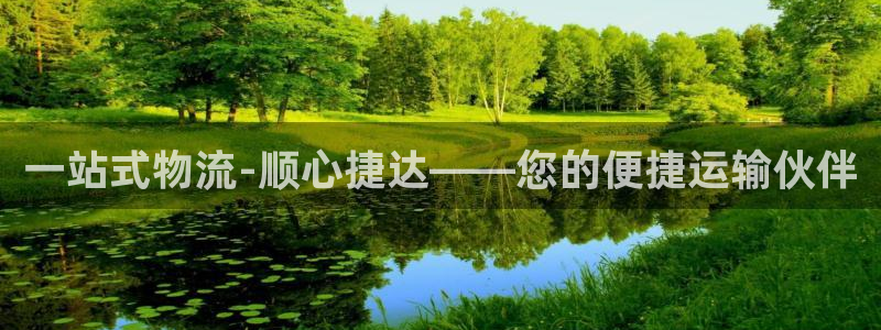 豪门国际p图上分下款通道：一站式物流