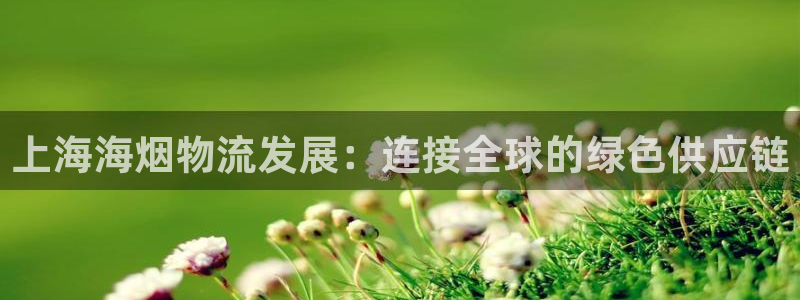 豪门国际辅助：上海海烟物流发展：连接