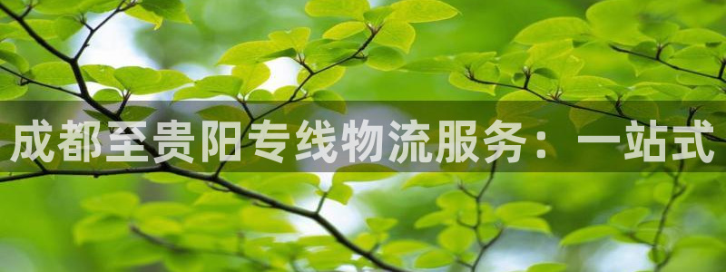 豪门国际娱乐官网网页:成都至贵阳专线