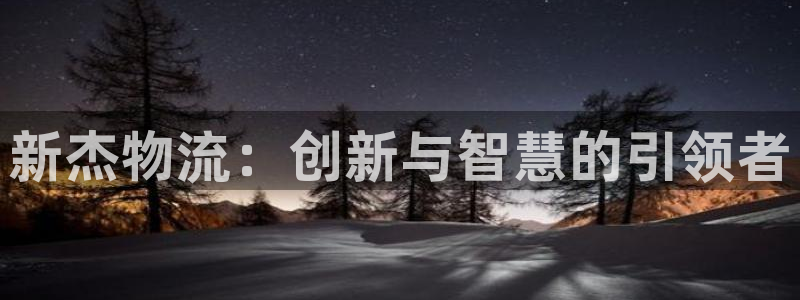 豪门国际PG电子游戏:新杰物流:创新