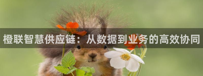 加拿大豪门国际是什么:橙联智慧供应链