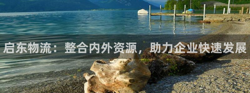 豪门国际黑吗:启东物流:整合内外资源