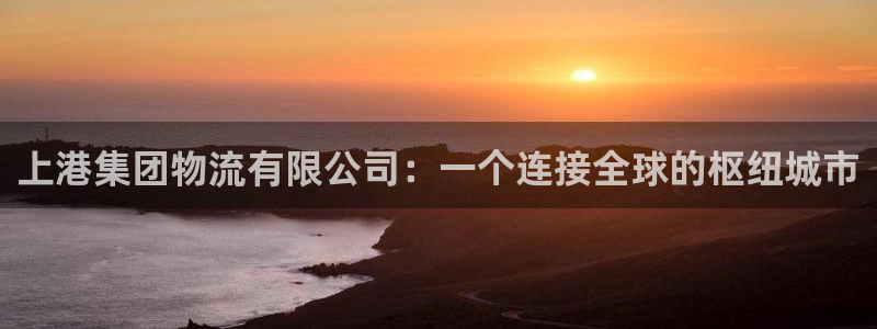 豪门国际提现未达5期是什么意思：上港集团物流有限公司：一个连