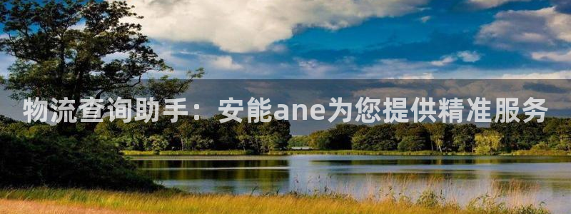 豪门国际登录流程:物流查询助手:安能