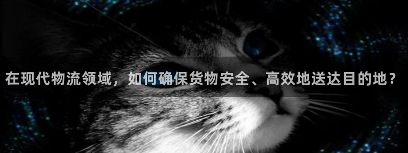 豪门国际分分28预测:在现代物流领域