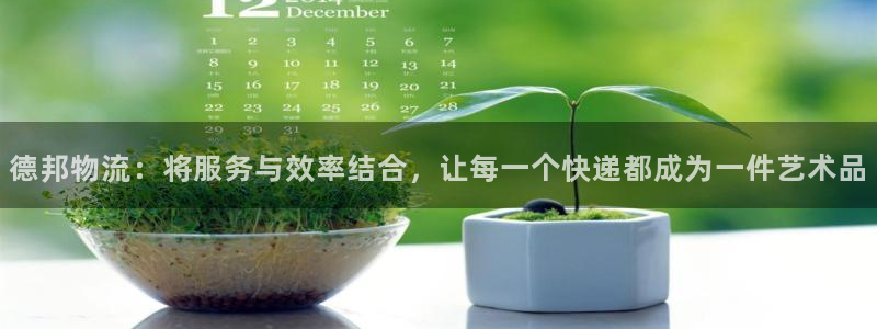 豪门国际官方：德邦物流：将服务与效率