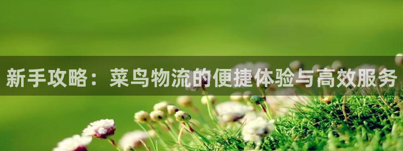 豪门国际充值金额随便:新手攻略:菜鸟