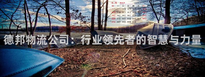 豪门国际开奖预测:德邦物流公司:行业