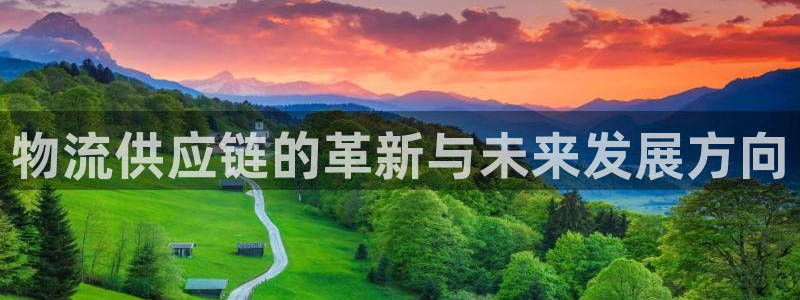 豪门国际网站平台:物流供应链的革新与