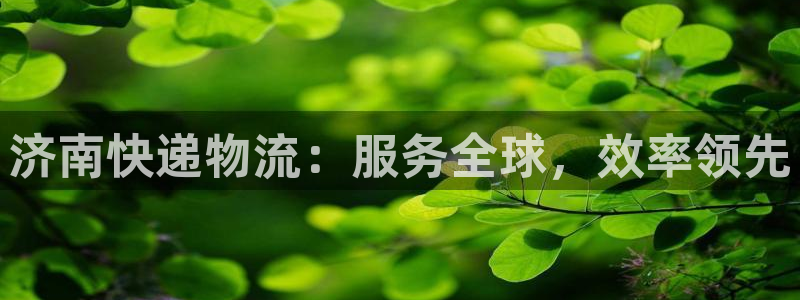 豪门国际模拟器在线使用:济南快递物流